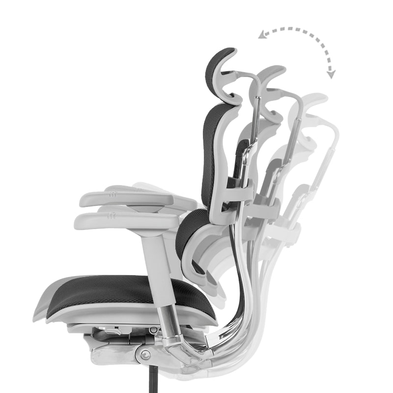 Ергономичен офис стол Ergohuman Elite 2 дамаска черен-сива рамка